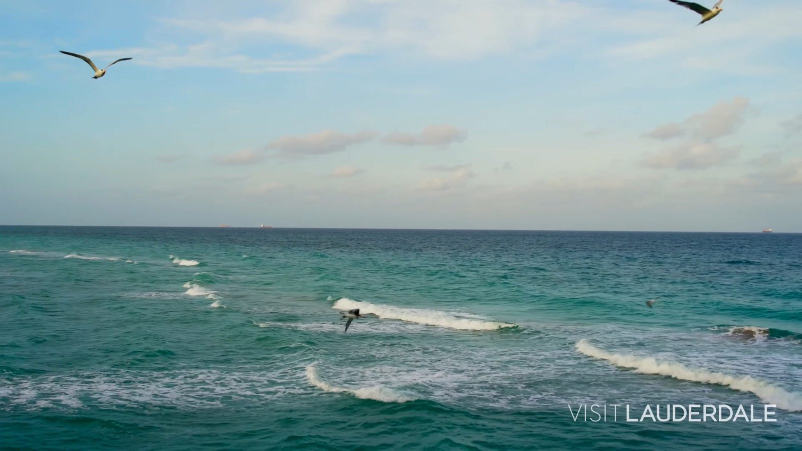 Frame 03 from Lauderdale